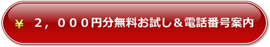 エクスタシークラブ無料お試し開始